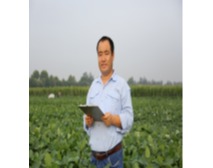 闫龙 河北省现代农业产业技术体系大豆创新团队首席专家